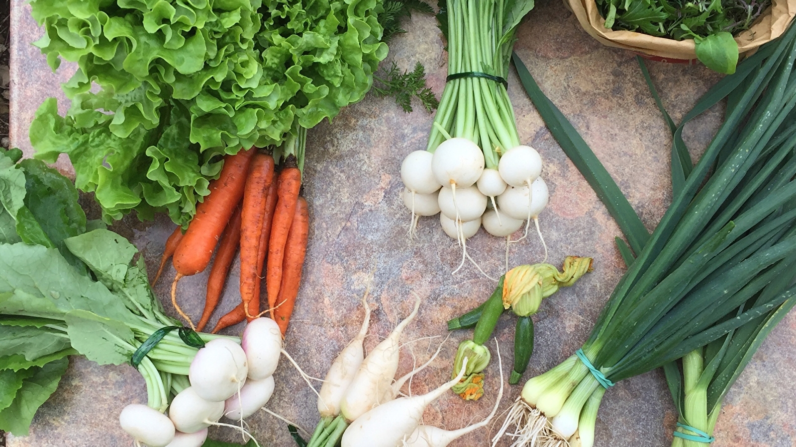 Les Légumes de Vincent