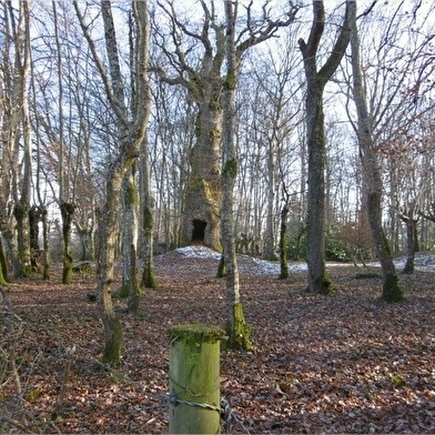 Circuit d'Arthé 