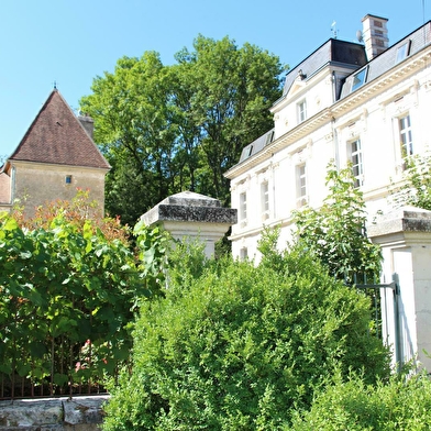 Ambroisie