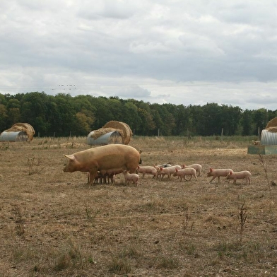 Les Cageots Poyaudins - AMAPP