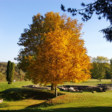 Site archéologique des Fontaines Salées 