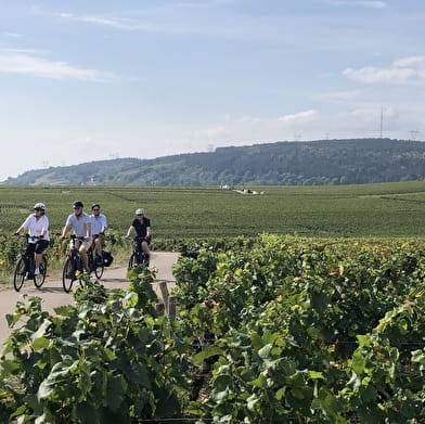 France à Vélo