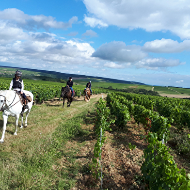 A Cheval dans l'Yonne