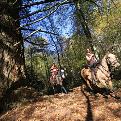 Le Tour équestre du Morvan