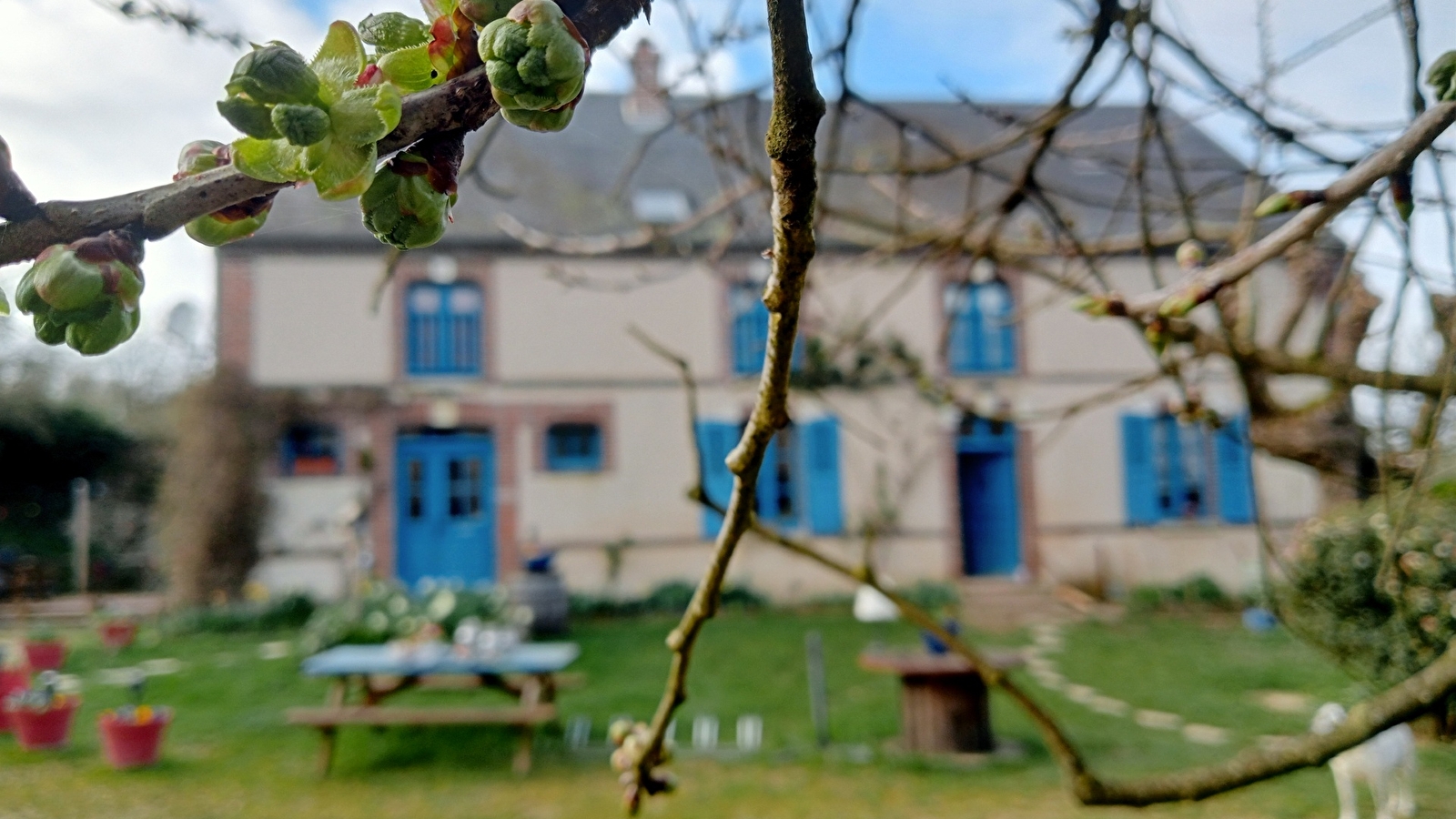 La Ferme de Plénoise Bed& Breakfast