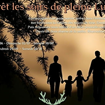 Fondez vous à travers l'esprit de la forêt les soirs de pleine Lune - TREIGNY-PERREUSE-SAINTE-COLOMBE