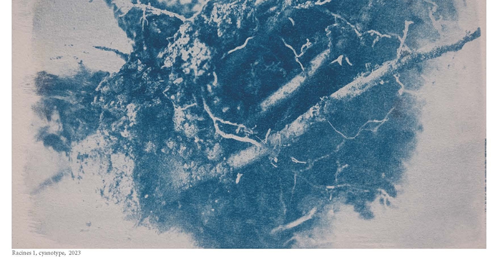 Nocturnes - Cyanotypes -Joanna Letchimy